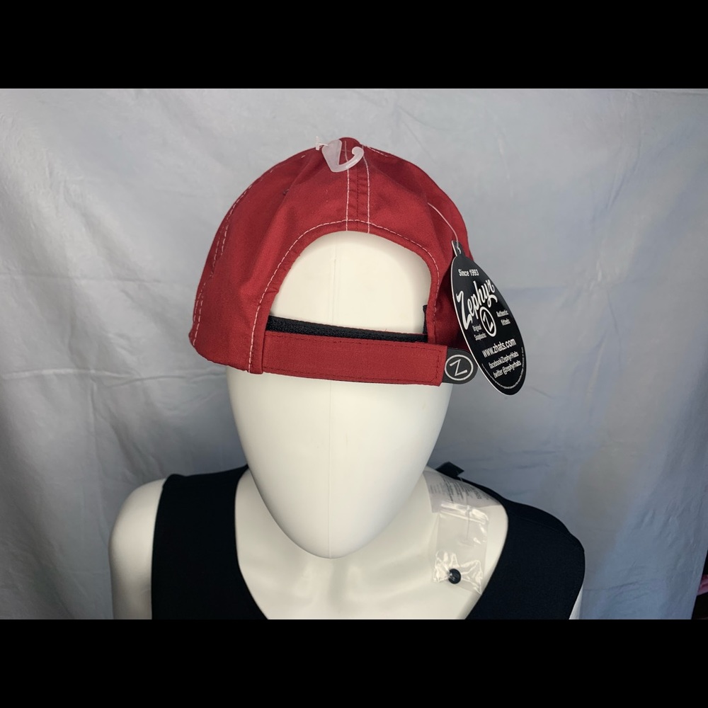 Arkansas Razorbacks - Picture 2 of 2